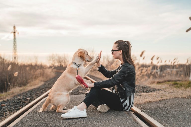 Dog Training A woman and a dog share a high-five on a railway track at sunset.