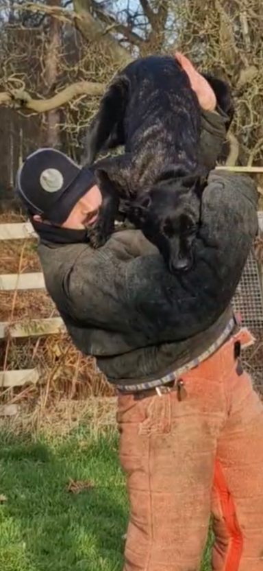 A person in a cap holds up a black dog outdoors near trees and a fence.
