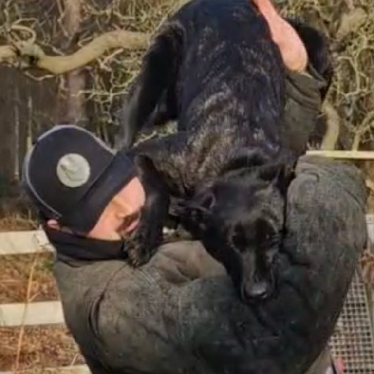 A person lifting a black dog, both appearing happy outdoors.