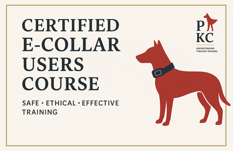 Dog Training Poster for a course for certified e-collar users, featuring a dog and the text "Safe, Ethical, Effective Training."