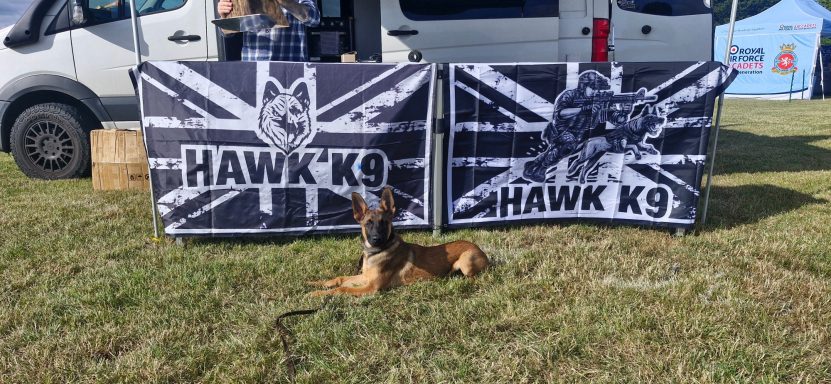 A dog sits in front of two flags featuring the "HAWK K9" logo.