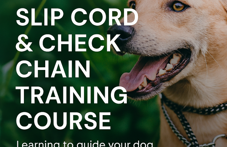 Dog Training Dog wearing a training collar, with text about a dog training course.